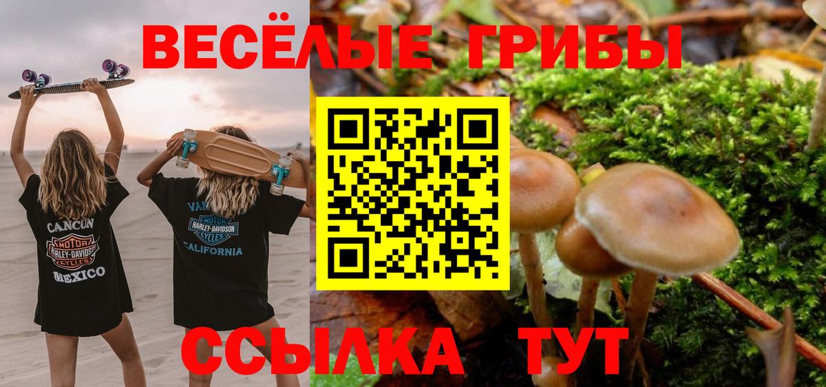 Галлюциногенные грибы мицелий  Вход с VPN  Соликамск 
