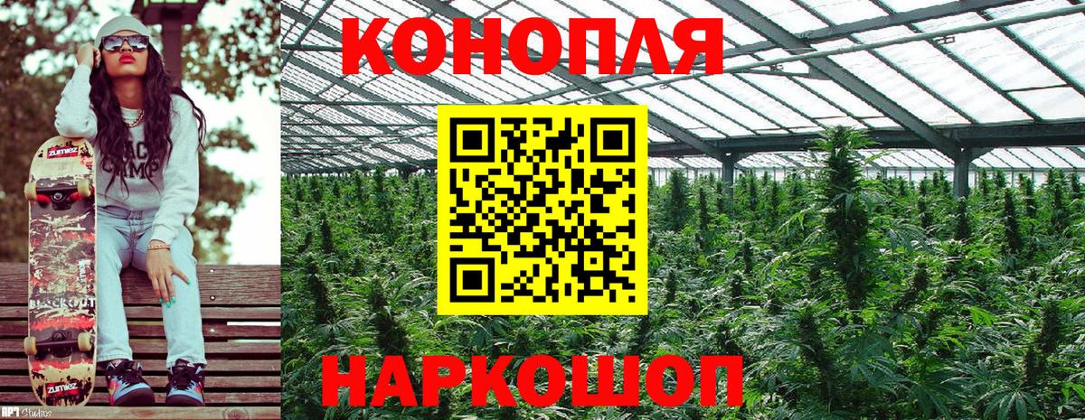 Соликамск  Марихуана семена  Вход с VPN  Бошки марихуана планчик 
